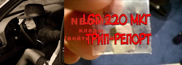прущие крисы Армянск